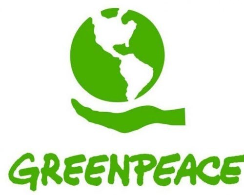 Greenpeace dénonce un projet d’exploitation de 68.000 hectares de la forêt d'Ebo